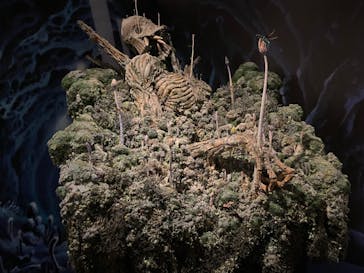 アニメージュとジブリ展に投稿された画像（2023/1/8）