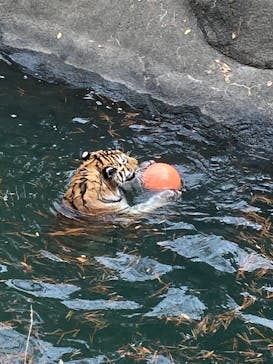 浜名湖パルパルに投稿された画像（2023/1/8）