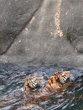 浜名湖パルパルに投稿された画像（2023/1/8）