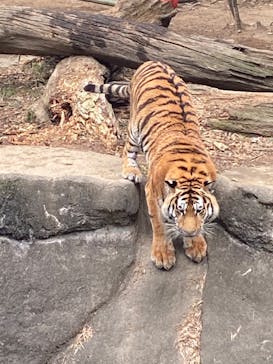 浜名湖パルパルに投稿された画像（2023/1/8）