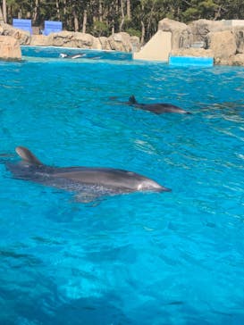 鴨川シーワールドに投稿された画像（2023/1/8）