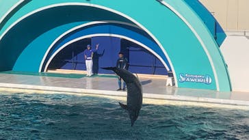 鴨川シーワールドに投稿された画像（2023/1/8）