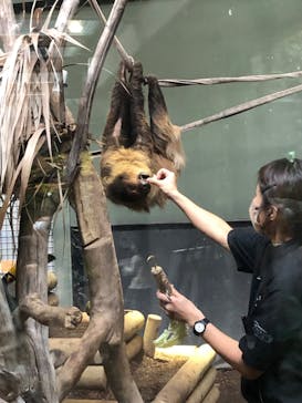 カワスイ 川崎⽔族館に投稿された画像（2023/1/8）