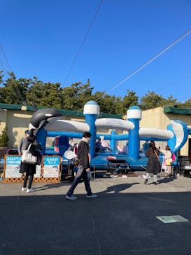 鴨川シーワールドに投稿された画像（2023/1/8）