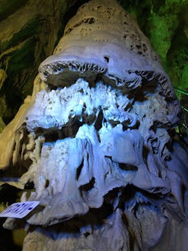 あぶくま洞に投稿された画像（2023/1/8）