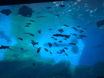 仙台うみの杜水族館に投稿された画像（2023/1/8）