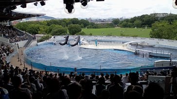 京都水族館に投稿された画像（2022/7/18）
