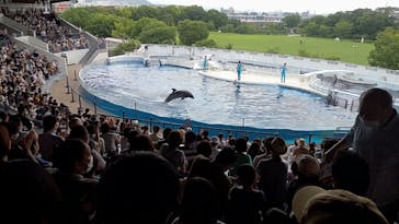京都水族館に投稿された画像（2022/7/18）