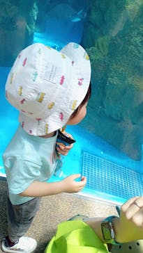 京都水族館に投稿された画像（2022/7/18）