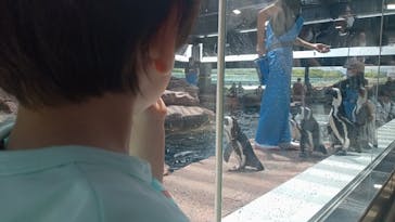 京都水族館に投稿された画像（2022/7/18）