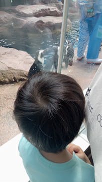 京都水族館に投稿された画像（2022/7/18）