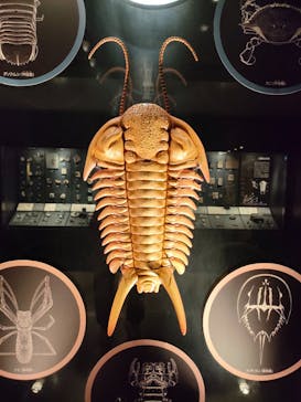 国立科学博物館に投稿された画像（2023/1/8）