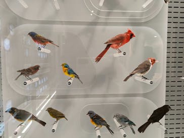 国立科学博物館に投稿された画像（2023/1/8）