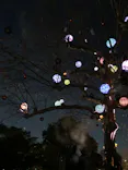 西武園ゆうえんちに投稿された画像（2023/1/8）