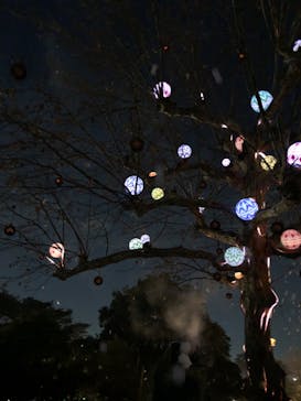 西武園ゆうえんちに投稿された画像（2023/1/8）