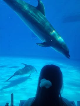 マリンワールド海の中道に投稿された画像（2023/1/8）