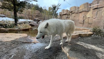 那須どうぶつ王国に投稿された画像（2023/1/8）