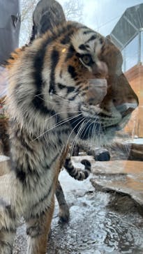 那須どうぶつ王国に投稿された画像（2023/1/8）