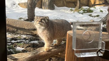 那須どうぶつ王国に投稿された画像（2023/1/8）