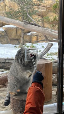 那須どうぶつ王国に投稿された画像（2023/1/8）