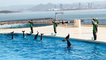 マリンワールド海の中道に投稿された画像（2023/1/8）