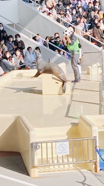 マリンワールド海の中道に投稿された画像（2023/1/8）