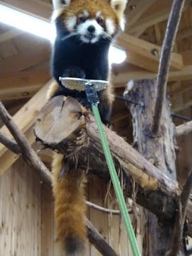 伊豆シャボテン動物公園に投稿された画像（2023/1/8）