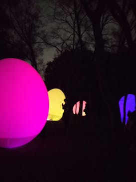 チームラボ ボタニカルガーデン 大阪に投稿された画像（2023/1/8）