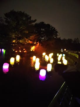 チームラボ ボタニカルガーデン 大阪に投稿された画像（2023/1/8）