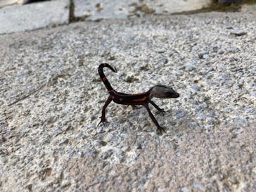 ビオスの丘に投稿された画像（2023/1/8）