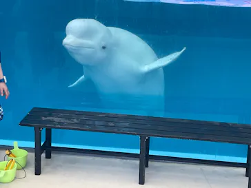 横浜・八景島シーパラダイスに投稿された画像（2023/1/8）