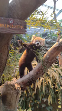 神戸どうぶつ王国に投稿された画像（2023/1/8）