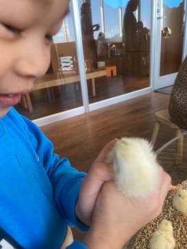 Moff animal cafe 小田原ダイナシティ店に投稿された画像（2023/1/8）