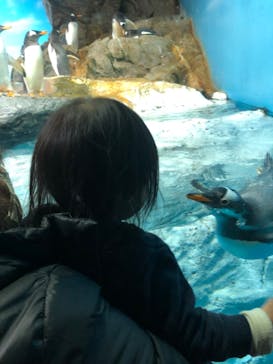 鴨川シーワールドに投稿された画像（2023/1/8）