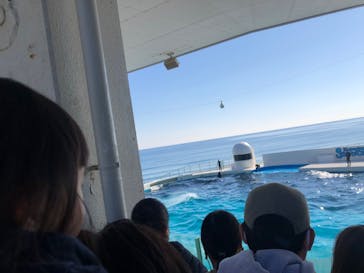 鴨川シーワールドに投稿された画像（2023/1/8）