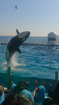 鴨川シーワールドに投稿された画像（2023/1/8）