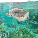 鴨川シーワールドに投稿された画像（2023/1/8）