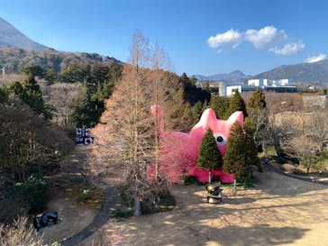 彫刻の森美術館に投稿された画像（2023/1/8）