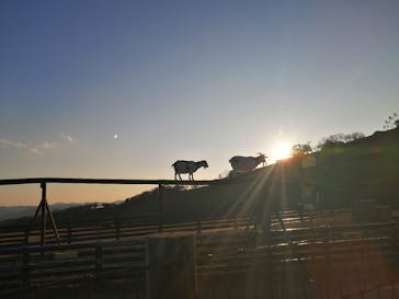 マザー牧場に投稿された画像（2023/1/8）