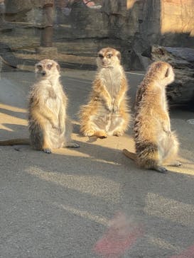 よこはま動物園ズーラシアに投稿された画像（2023/1/8）