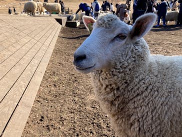 伊香保グリーン牧場に投稿された画像（2023/1/8）