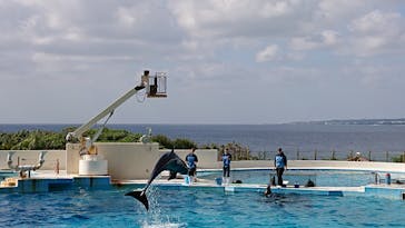 沖縄美ら海水族館に投稿された画像（2023/1/8）