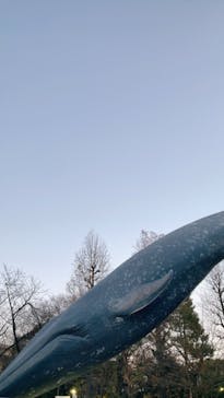 国立科学博物館に投稿された画像（2023/1/8）