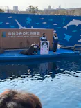 仙台うみの杜水族館に投稿された画像（2023/1/8）