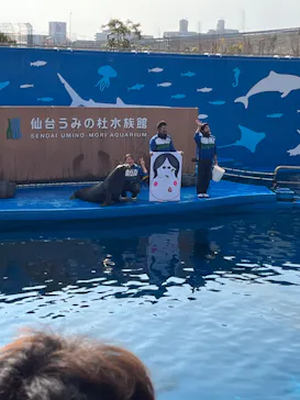 仙台うみの杜水族館に投稿された画像（2023/1/8）