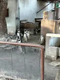 天王寺動物園に投稿された画像（2023/1/8）