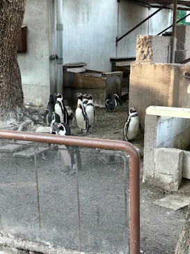 天王寺動物園に投稿された画像（2023/1/8）