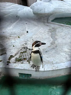 天王寺動物園に投稿された画像（2023/1/8）