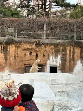 天王寺動物園に投稿された画像（2023/1/8）