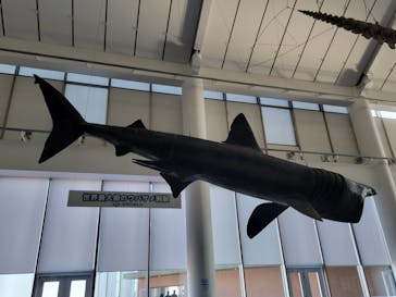 アクアワールド茨城県大洗水族館に投稿された画像（2023/1/8）